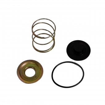 Reparo válvula descarga rapida - Código 21-1-1