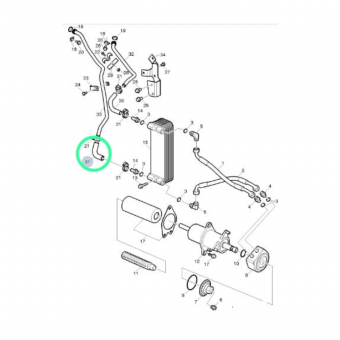 MANG RAD OLEO CAMB VV FH/FM/NH
