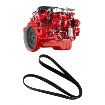 Correia ventilador para motor cummins - 8PK1760 - Código 6774-1-1